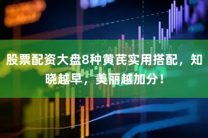 股票配资大盘8种黄芪实用搭配，知晓越早，美丽越加分！