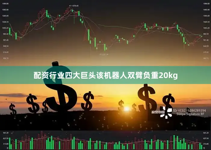 配资行业四大巨头该机器人双臂负重20kg