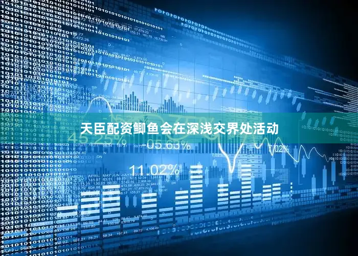 天臣配资鲫鱼会在深浅交界处活动