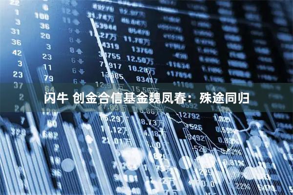 闪牛 创金合信基金魏凤春：殊途同归