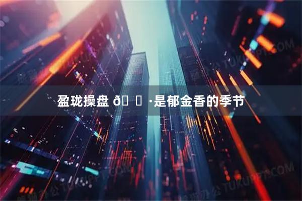 盈珑操盘 🌷是郁金香的季节