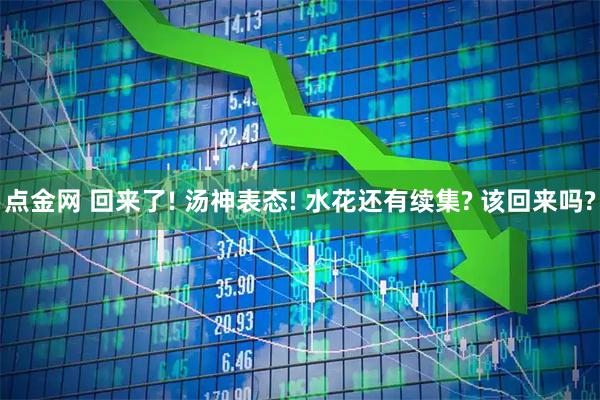点金网 回来了! 汤神表态! 水花还有续集? 该回来吗?